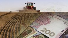 Фермерам насчитали 71,6 млн грн компенсаций