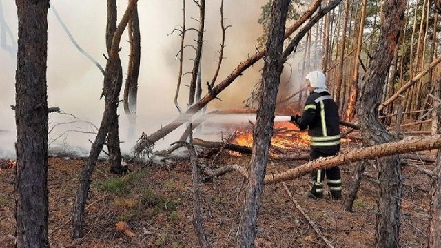 На Луганщине спасатели потушили восемь очагов пожаров