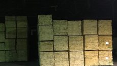 СБУ разоблачила преступную группировку на нелегальном экспорте древесины
