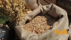 ГПЗКУ приняла на хранение почти 240 тыс. тонн зерна