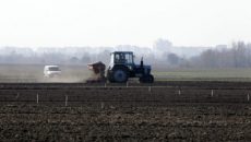 В Украине стартовал сев озимых зерновых