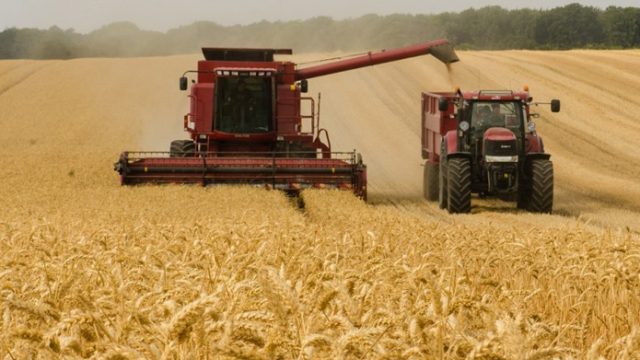 Украина в 2022 году рискует остаться без урожая: на что следует обратить внимание правительству