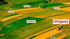 Украинцы продают гектар сельхозземли в среднем по 42 тыс. гривен