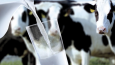Украина увеличила импорт молочки на 22% - УКАБ