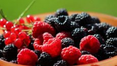 В этом году Украина увеличит экспорт фруктов, ягод и орехов на 13% - УКАБ