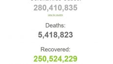 Кількість COVID-випадків у світі перевищила 280 млн