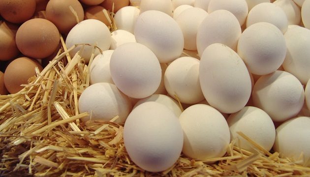 Производство яиц в Украине снизилось на 13,5% — Госстат