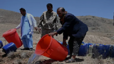 Таліби вилили 3 тис. літрів алкоголю в річку в Кабулі