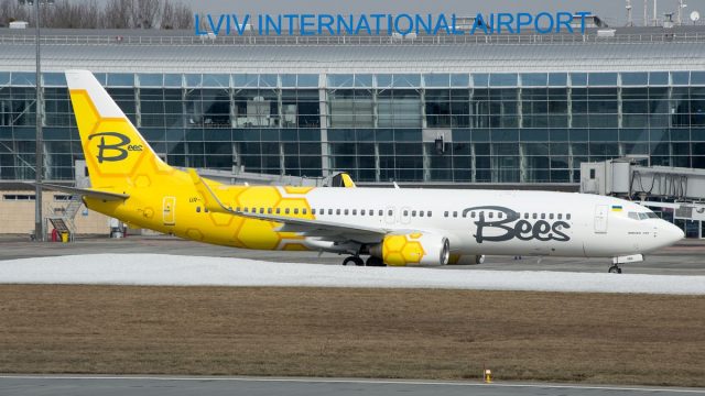 Ситуація з безпекою: Bees Airline виводить літаки з України