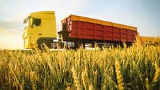 Єврокомісія розробила план дій побудови торгових маршрутів між Україною та ЄС. Європа очікує на перевалку 20 млн т українського зерна