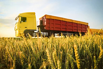 Єврокомісія розробила план дій побудови торгових маршрутів між Україною та ЄС. Європа очікує на перевалку 20 млн т українського зерна
