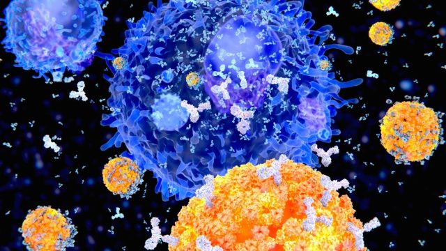 Нову генну терапію, засновану на клітинних антитілах, збираються випробувати на людях