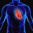 Дослідники розробили нову технологію, яка використовує МРТ для швидкої діагностики серцевої недостатності