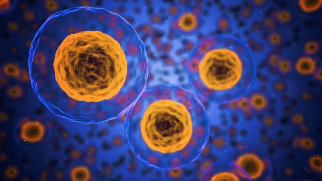 Дослідники винайшли метод виробництва кисню безпосередньо у клітинах людини, що у майбутньому забезпечить ефективну терапію хвороб