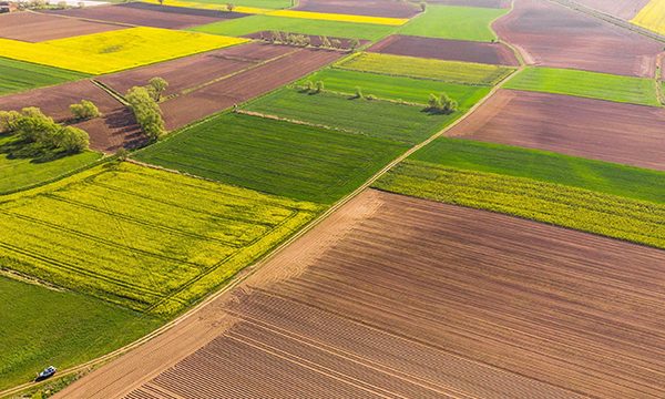 В Україні запустили аукціони з продажу державних земель для аграрного виробництва, до кінця року на торги виставлять 100 тис. га